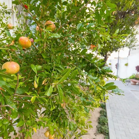 Special Class Sanctuary Cove B5 Suite *