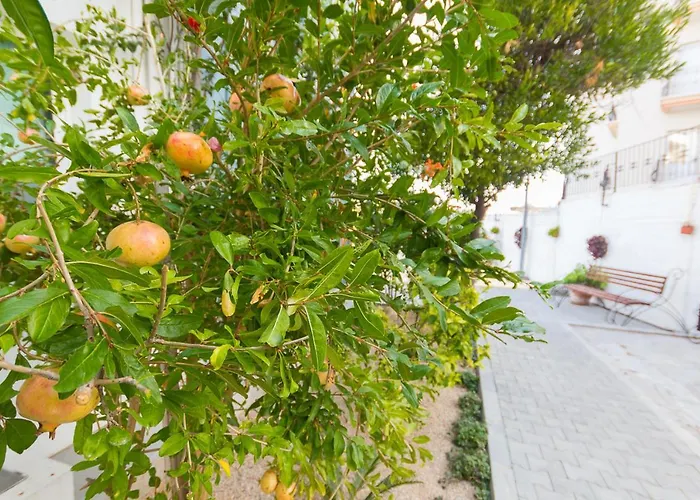 Special Class Sanctuary Cove B5 Suite *